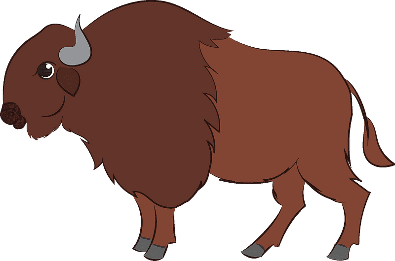 Detail Bison Bilder Nomer 7