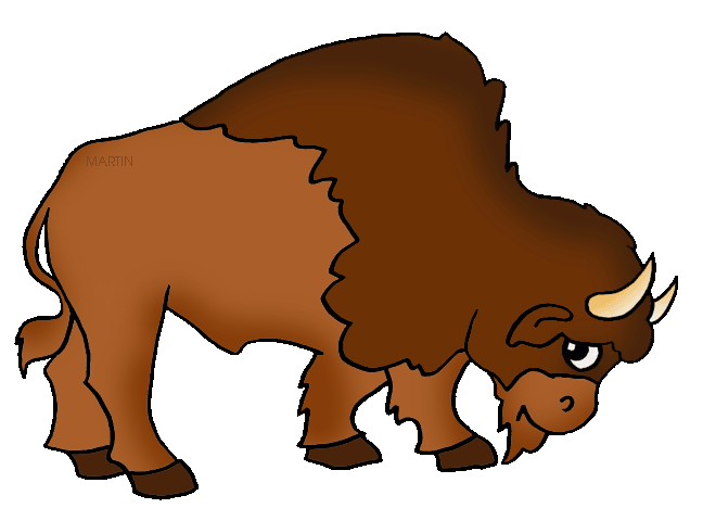 Detail Bison Bilder Nomer 9