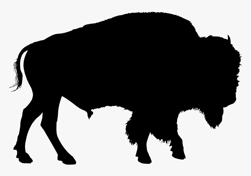 Detail Bison Bilder Nomer 10