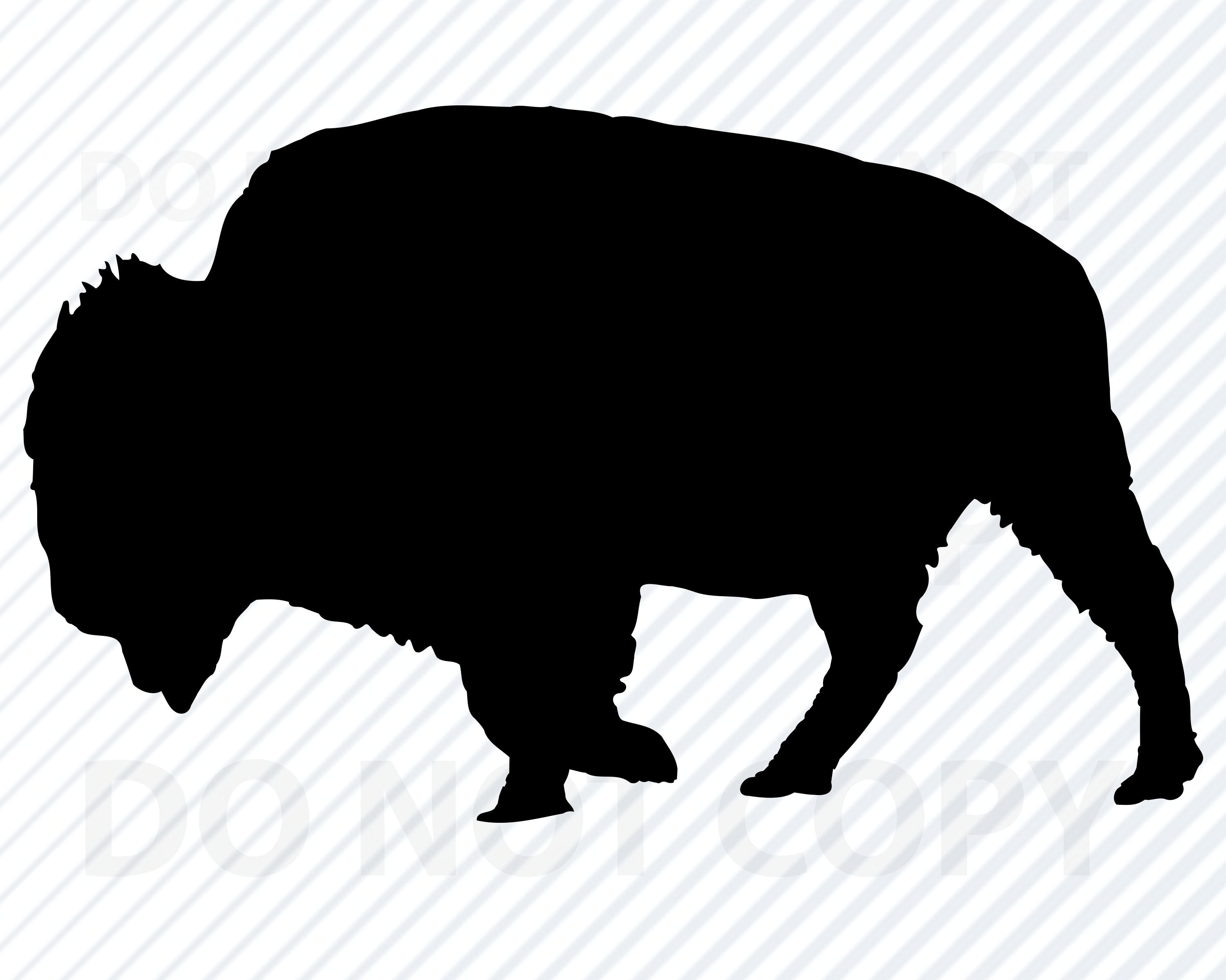 Detail Bison Bilder Nomer 11