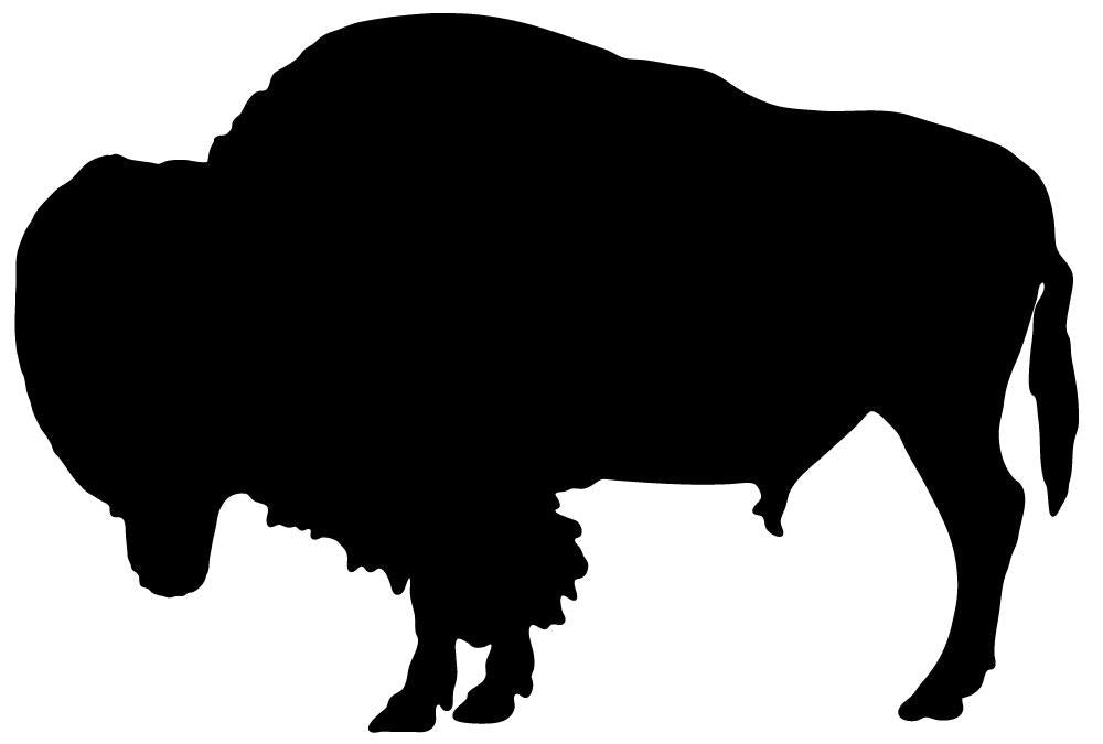 Detail Bison Bilder Nomer 12