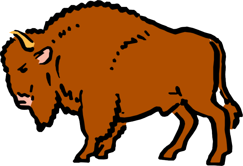 Detail Bison Bilder Nomer 13