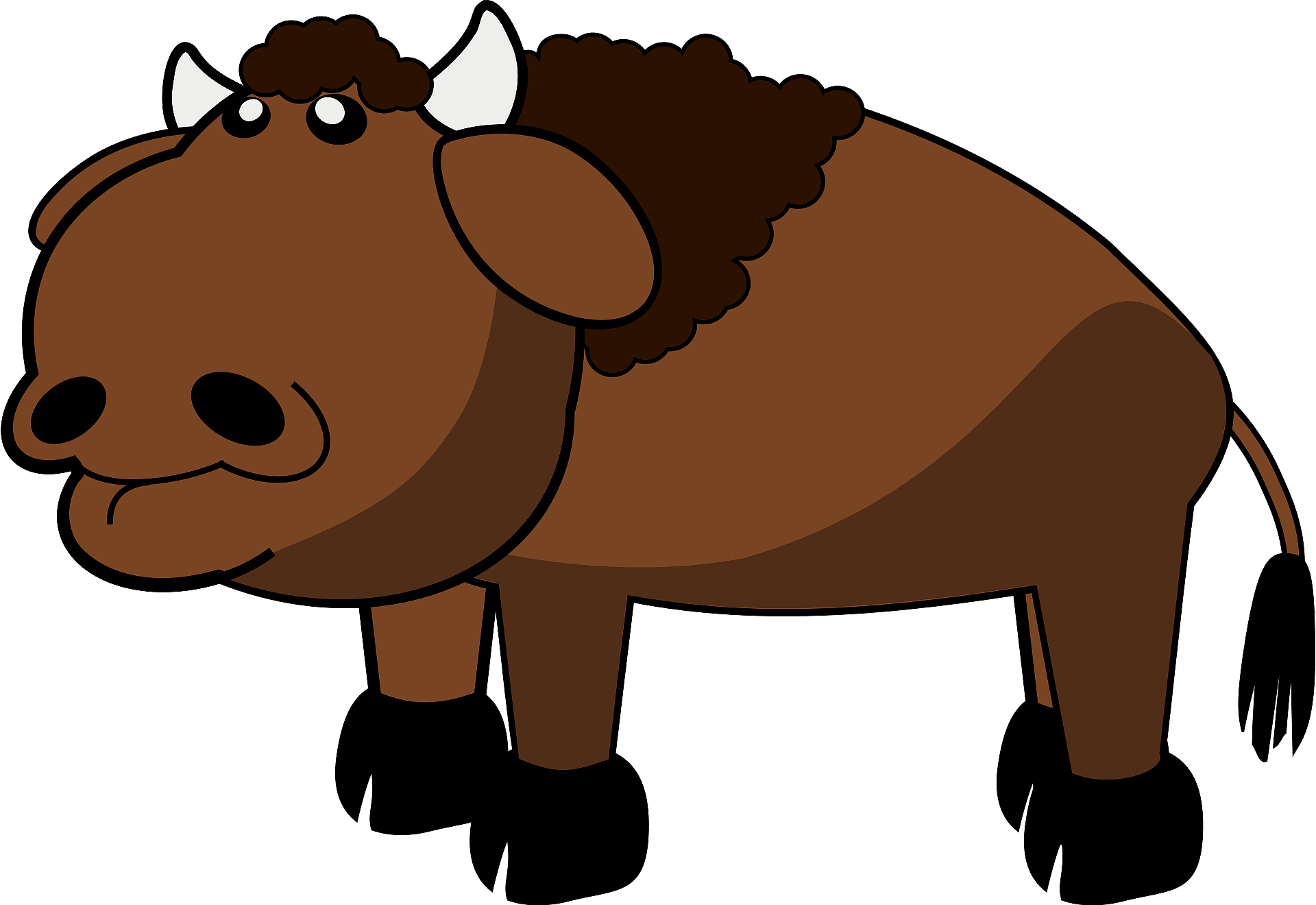 Detail Bison Bilder Nomer 14