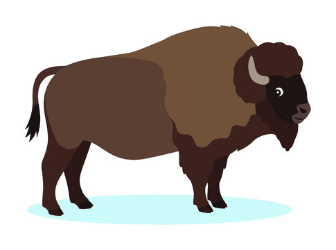 Detail Bison Bilder Nomer 15