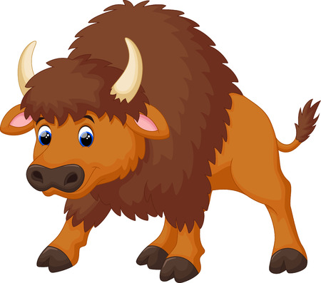Detail Bison Bilder Nomer 16