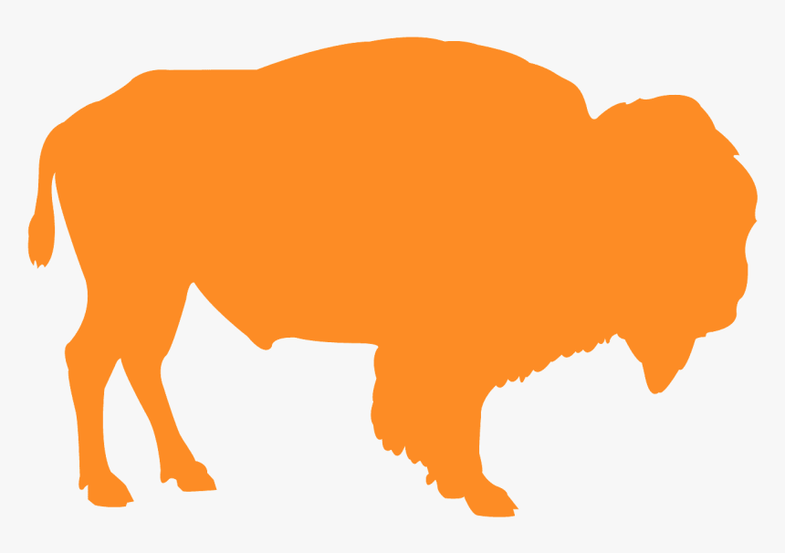 Detail Bison Bilder Nomer 17
