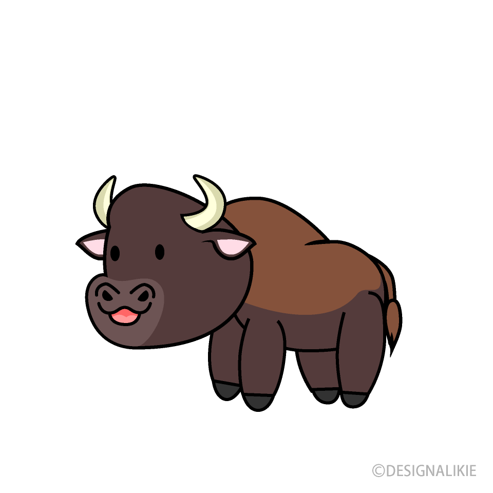 Detail Bison Bilder Nomer 18