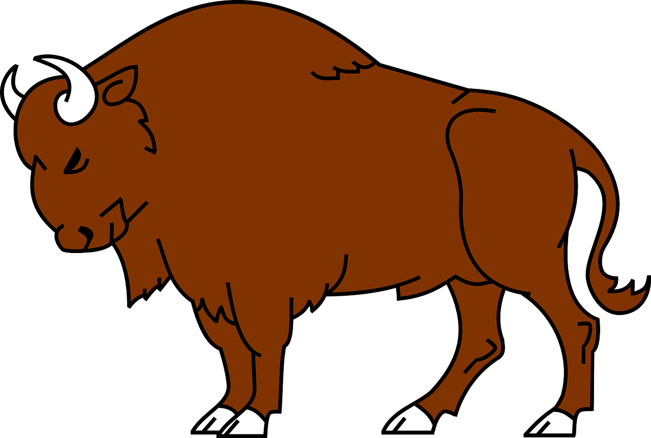 Bison Bilder - KibrisPDR