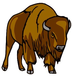Detail Bison Bilder Nomer 3