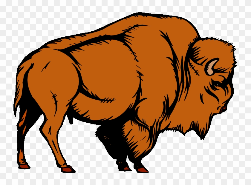 Detail Bison Bilder Nomer 4