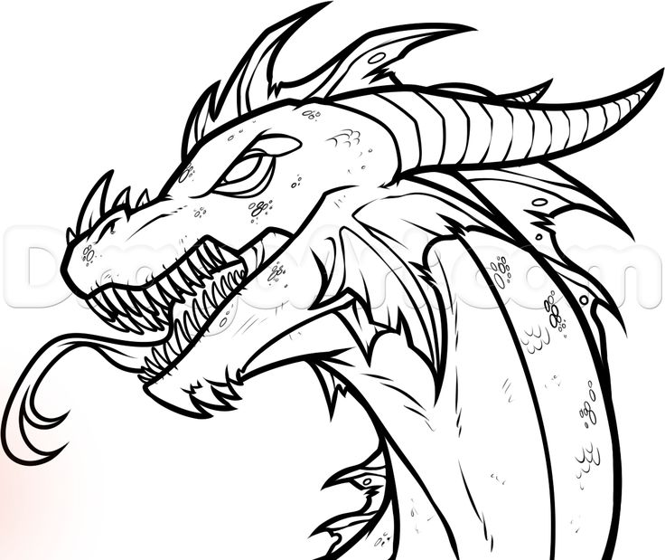 Detail Dragon Sketch Art Nomer 2