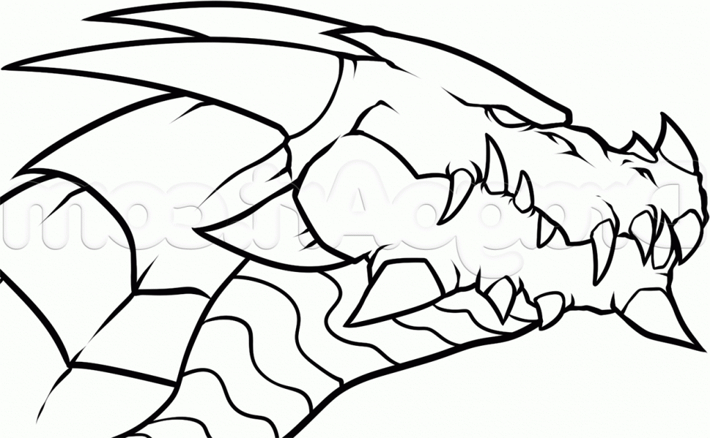 Detail Dragon Sketch Art Nomer 4