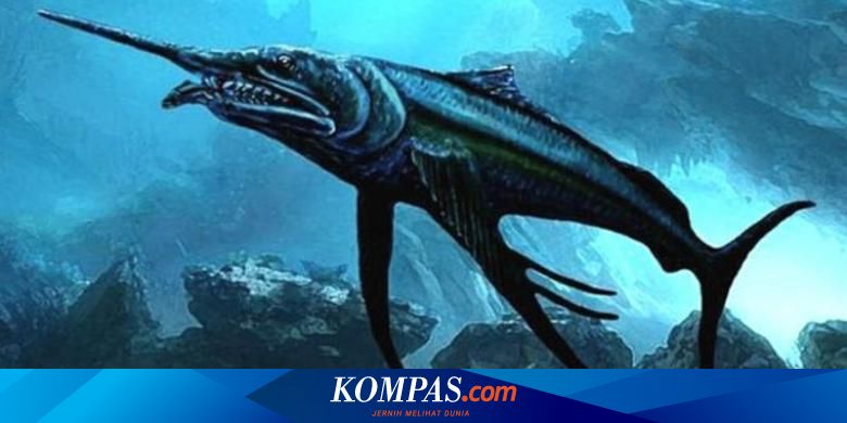 Detail Fosil Tulang Ikan Nomer 51