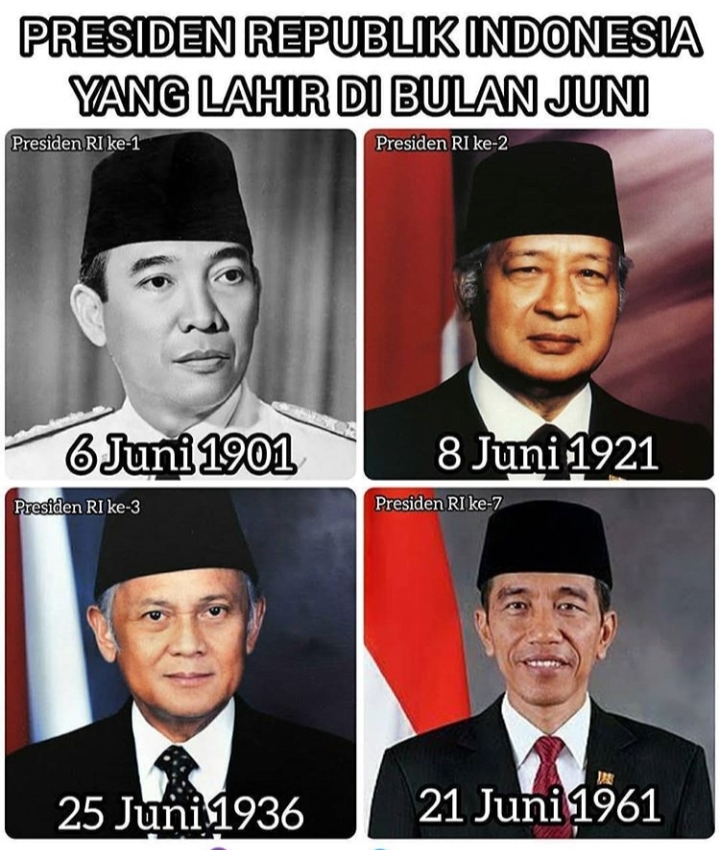 Detail Foto 7 Presiden Indonesia Nomer 19