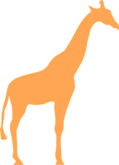Detail Giraffe Skelett Nomer 18