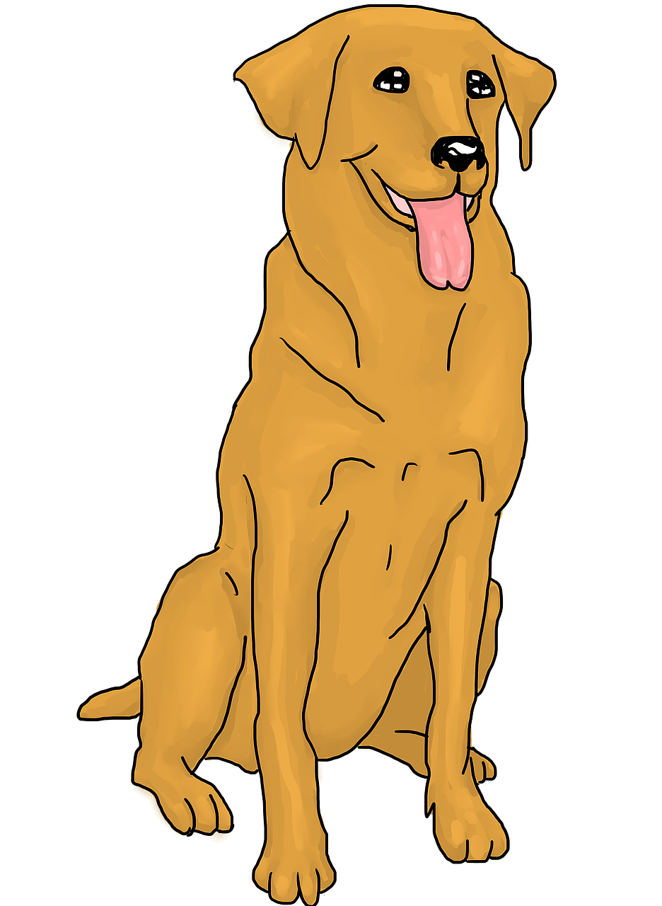 Golden Retriever Bilder - KibrisPDR