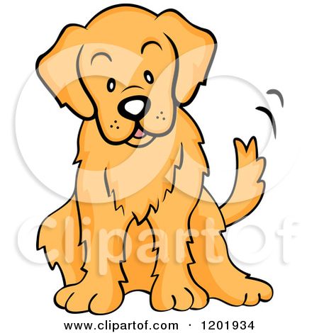 Detail Golden Retriever Bilder Nomer 2