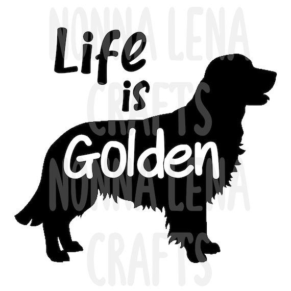 Detail Golden Retriever Bilder Nomer 22