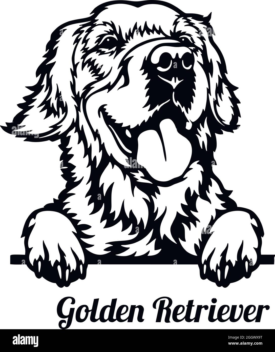 Detail Golden Retriever Bilder Nomer 23