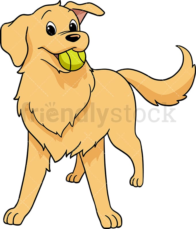 Detail Golden Retriever Bilder Nomer 6