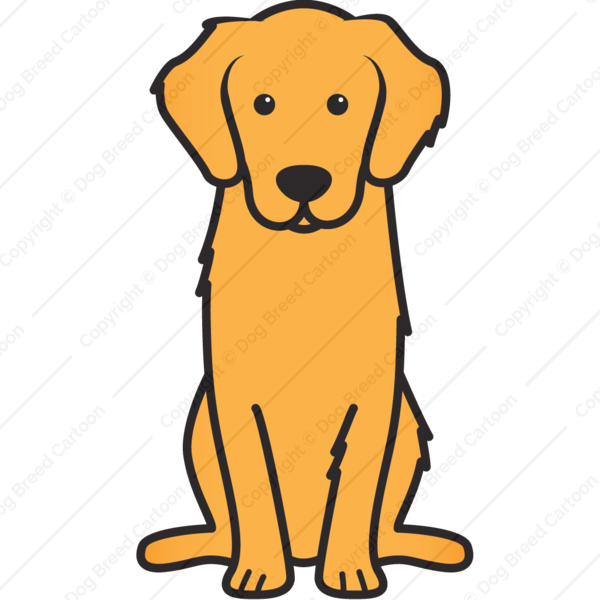 Detail Golden Retriever Bilder Nomer 8