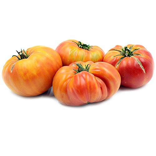 Detail Hillbilly Tomate Nomer 12