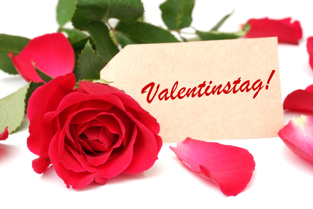 Detail Valentinstag Bilder Lustig Nomer 8