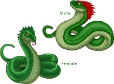 Detail Basilisk Harry Potter Zeichnung Nomer 6