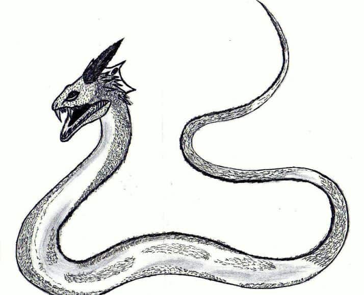 Detail Basilisk Harry Potter Zeichnung Nomer 8