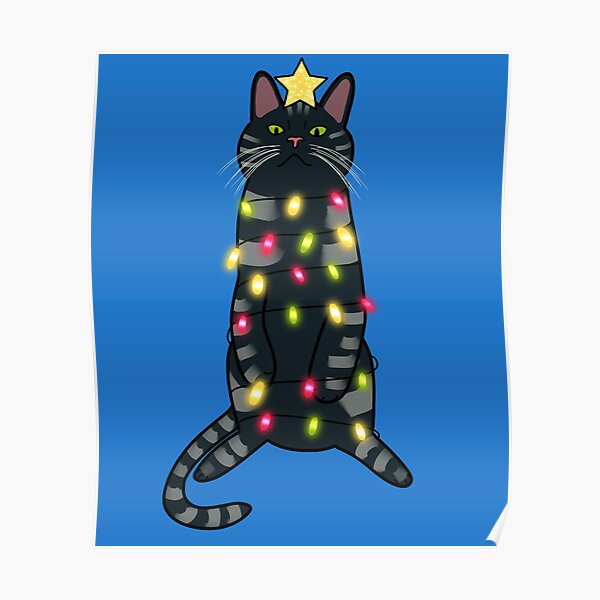 Detail Dreifarbige Katze Charakter Nomer 10