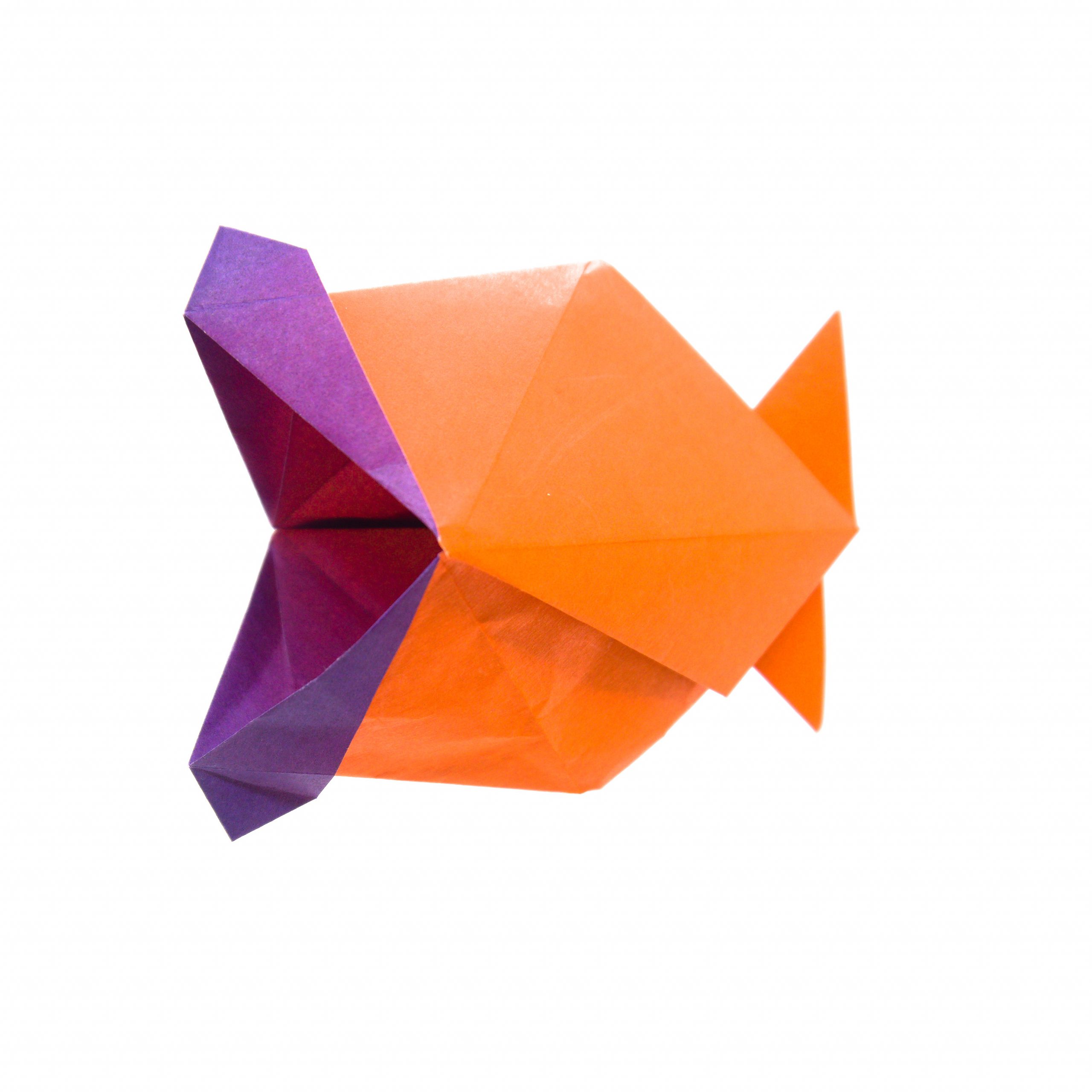 Detail Fisch Origami Nomer 10