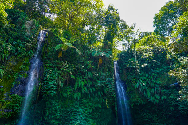 Detail Foto Air Terjun Nomer 33