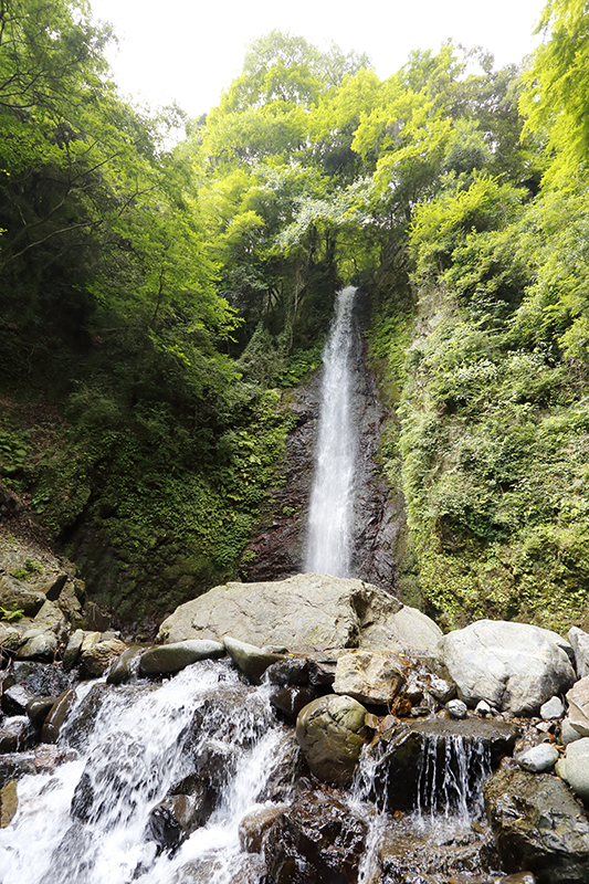 Detail Foto Air Terjun Nomer 7