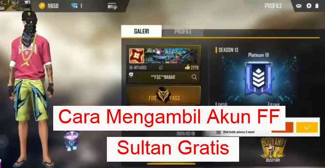 Detail Foto Akun Ff Sultan Season Sekarang Nomer 31