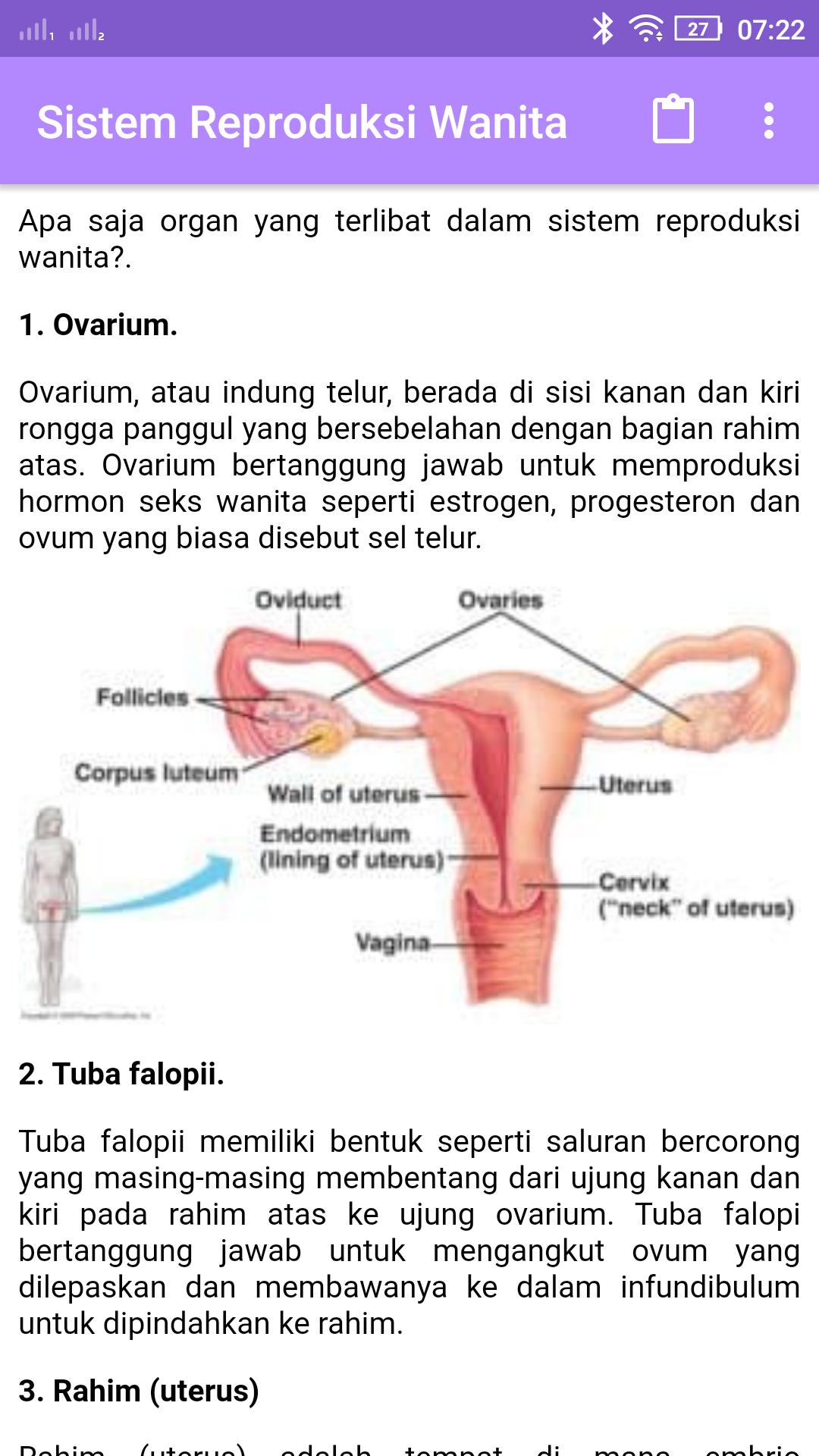 Detail Foto Alat Reproduksi Wanita Nomer 38