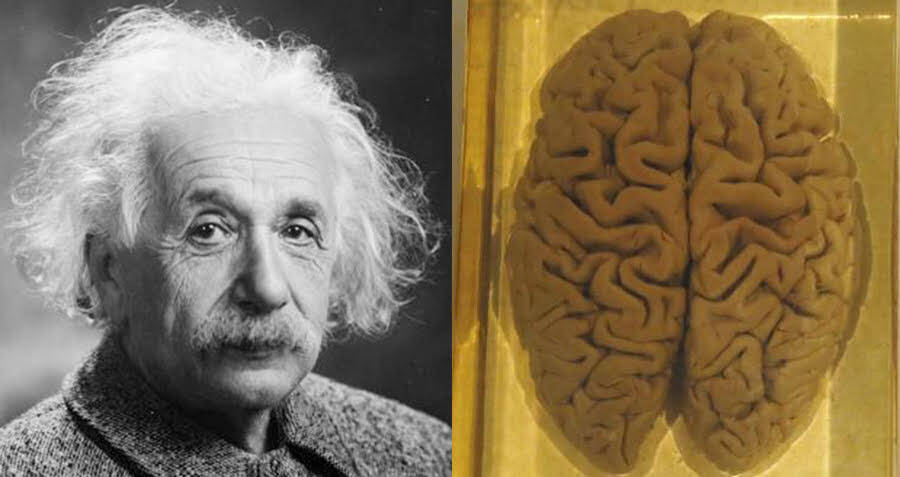 Detail Foto Albert Einstein Nomer 20