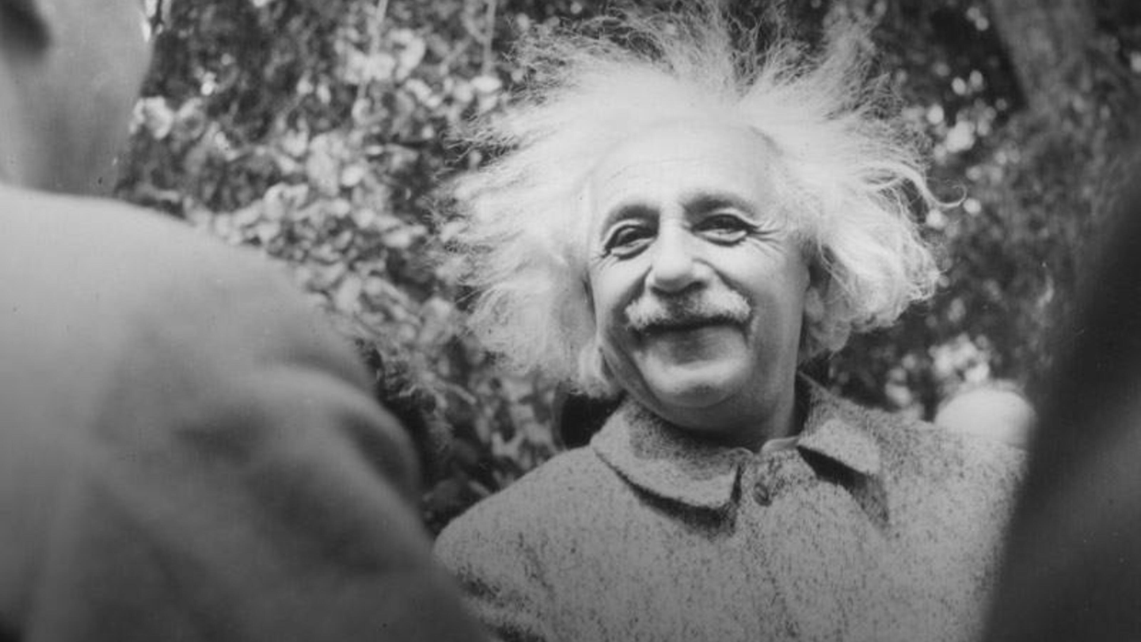 Detail Foto Albert Einstein Nomer 43