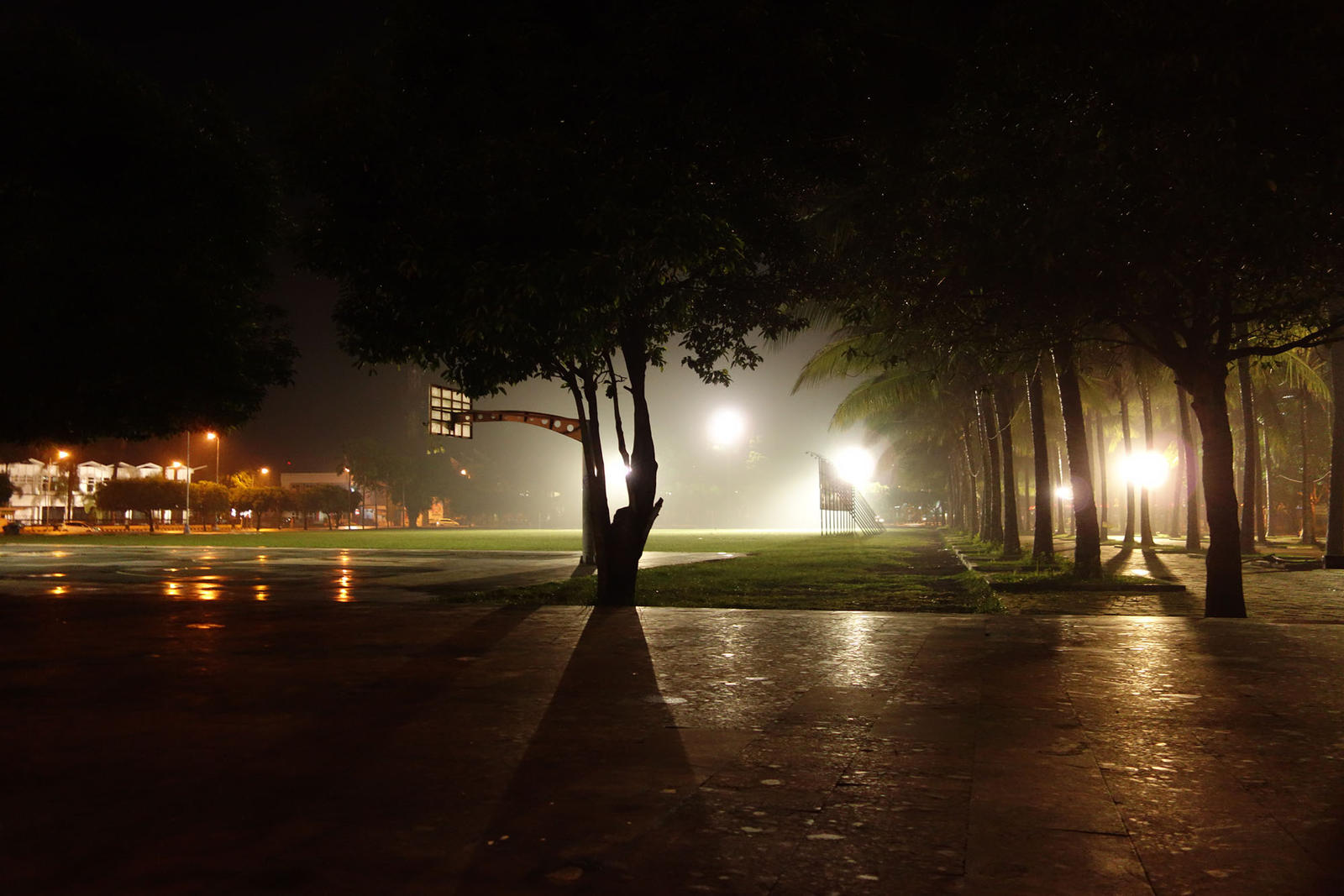 Detail Foto Alun Alun Jember Nomer 38