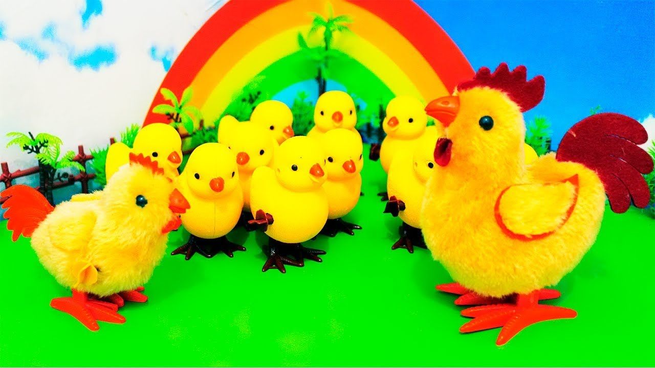 Detail Foto Anak Ayam Warna Warni Nomer 31