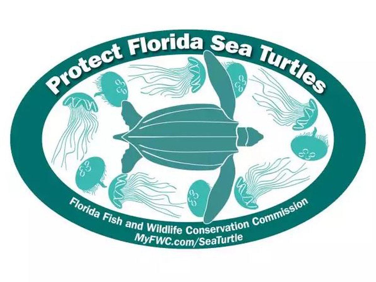 Detail Save The Sea Turtles Sticker Nomer 14