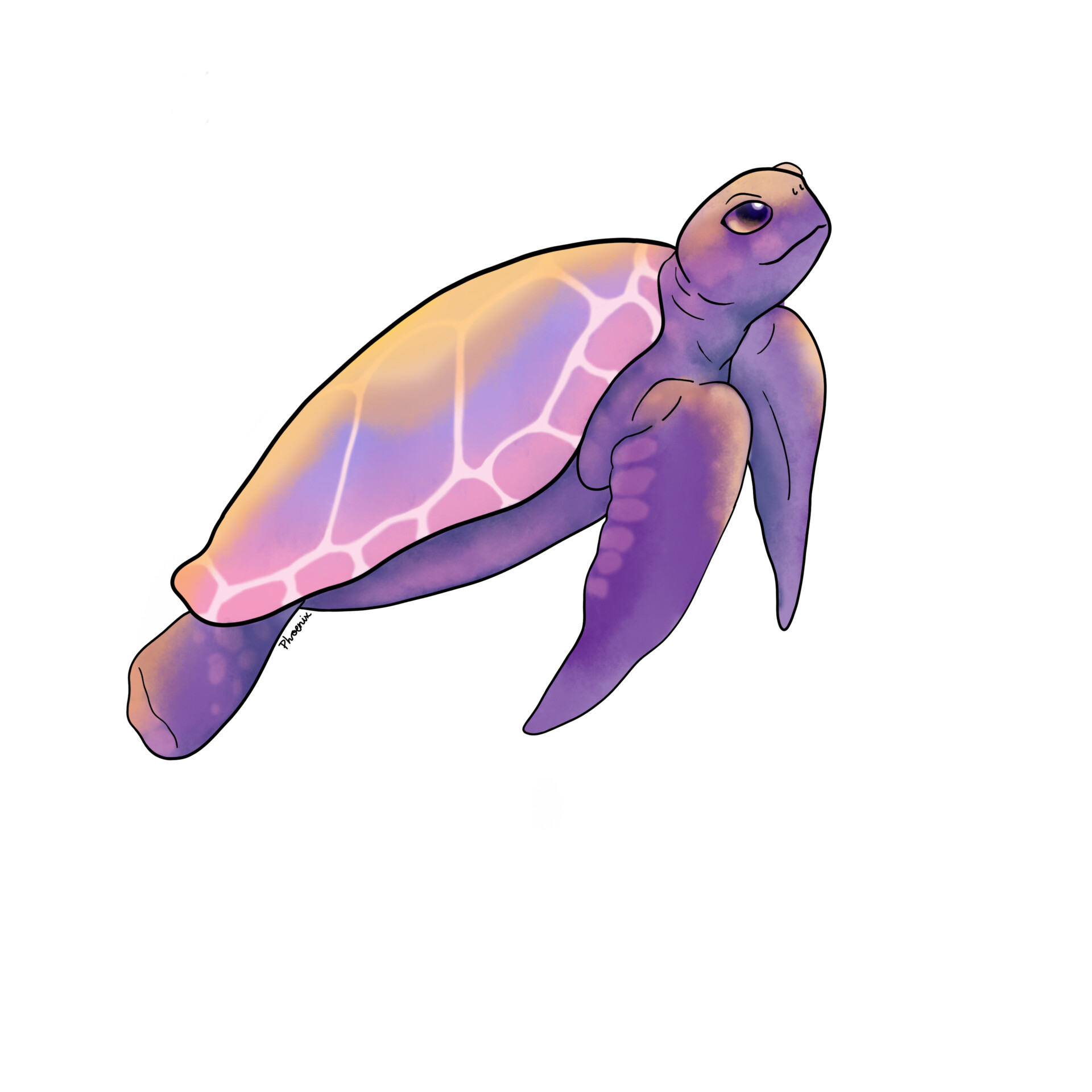 Detail Save The Sea Turtles Sticker Nomer 26