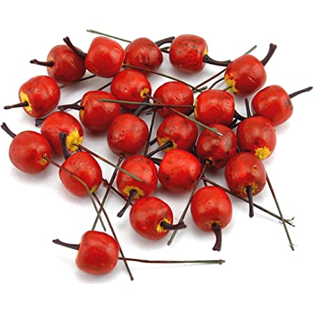 Detail Apfel Mit Zuckerguss Nomer 7