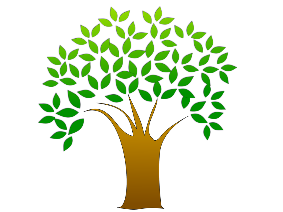 Detail Baum Lageplan Nomer 22
