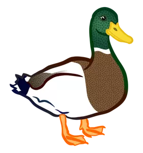 Clipart Ente - KibrisPDR