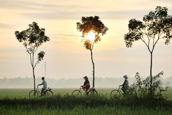 Detail Foto Anak Kampung Nomer 25