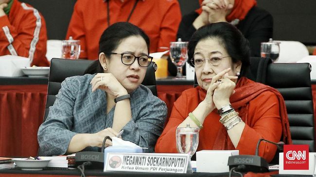 Detail Foto Anak Megawati Nomer 18