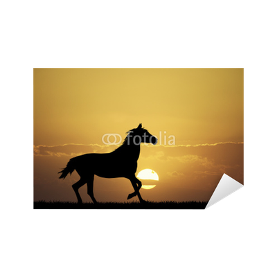 Detail Pferde Im Sonnenuntergang Nomer 15