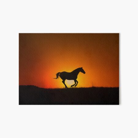 Detail Pferde Im Sonnenuntergang Nomer 16