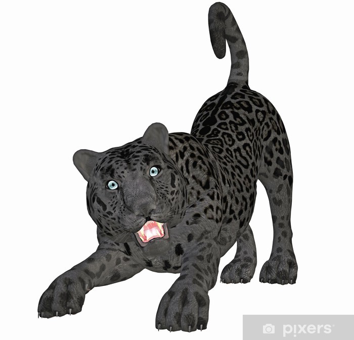 Detail Schwarzer Leopard Bilder Nomer 4