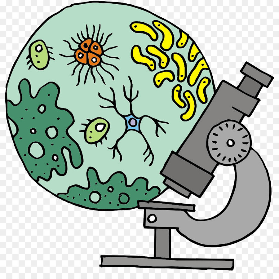 Detail Biologie Bilder Nomer 5